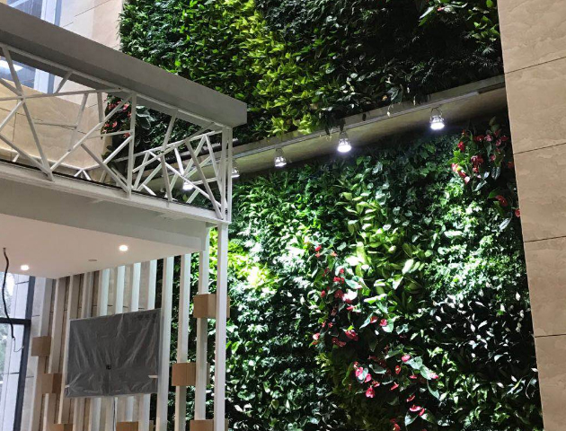 北京某银行植物墙工程  植物墙