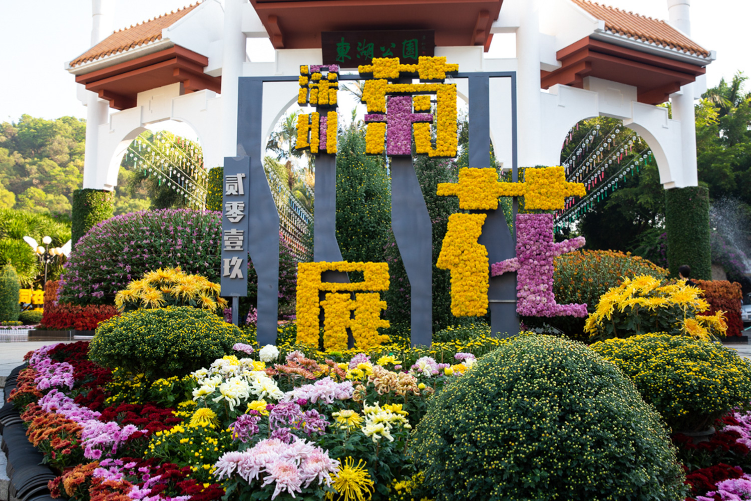 深圳 • 2019东湖公园菊花展